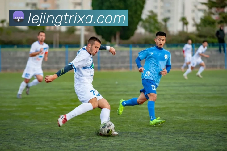 多媒体互动体验